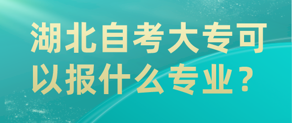 湖北自考大专可以报什么专业？