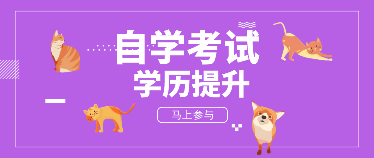 成人继续教育中自考的毕业证有什么用？